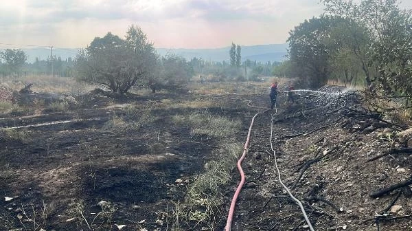 İtfaiyecinin, yanan yılan ve kaplumbağa üzüntüsü