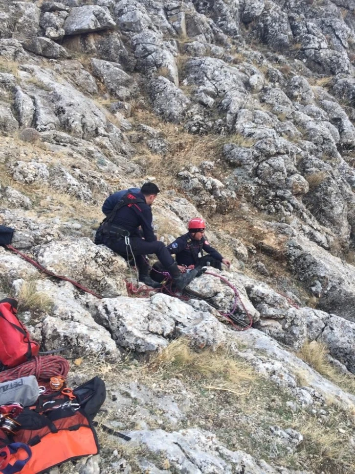 İtfaiyeden 3 saatlik keçi kurtarma operasyonu
