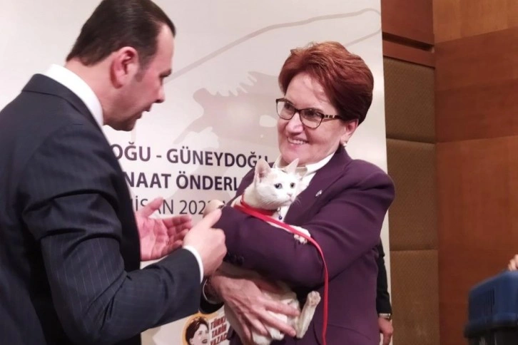 İYİ Parti Genel Başkanı Akşener: 'Seçmeni velinimet görürüm'