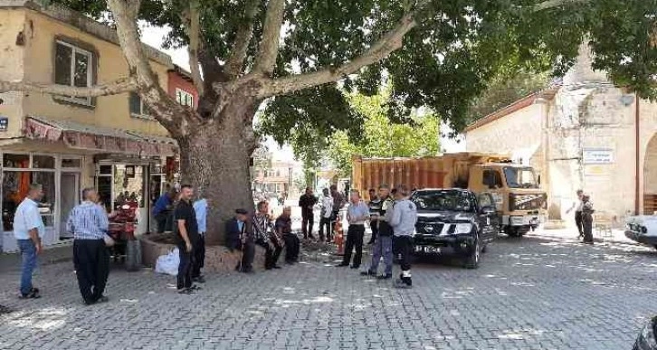 İzinsiz kazıda asırlık anıt ağacın köklerini iş makinesiyle parçaladılar