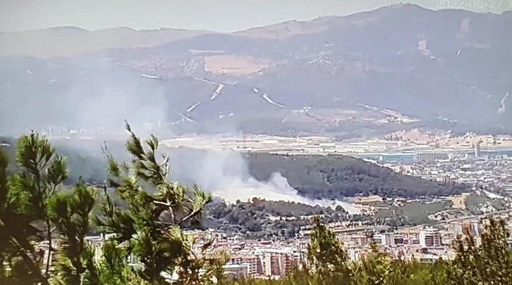 İzmir’de ağaçlık alanda yangın kontrol altında

