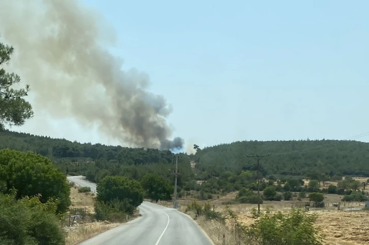 İzmir’de bir orman yangını daha başladı
