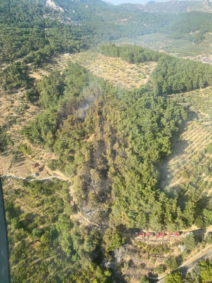 İzmir’de çıkan yangın kontrol altına alındı
