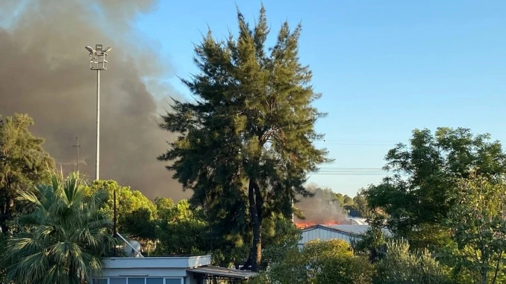 İzmir’de katı atık toplama merkezinde korkutan yangın
