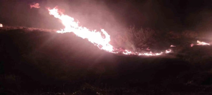 İzmir’de makilik alanda yangın
