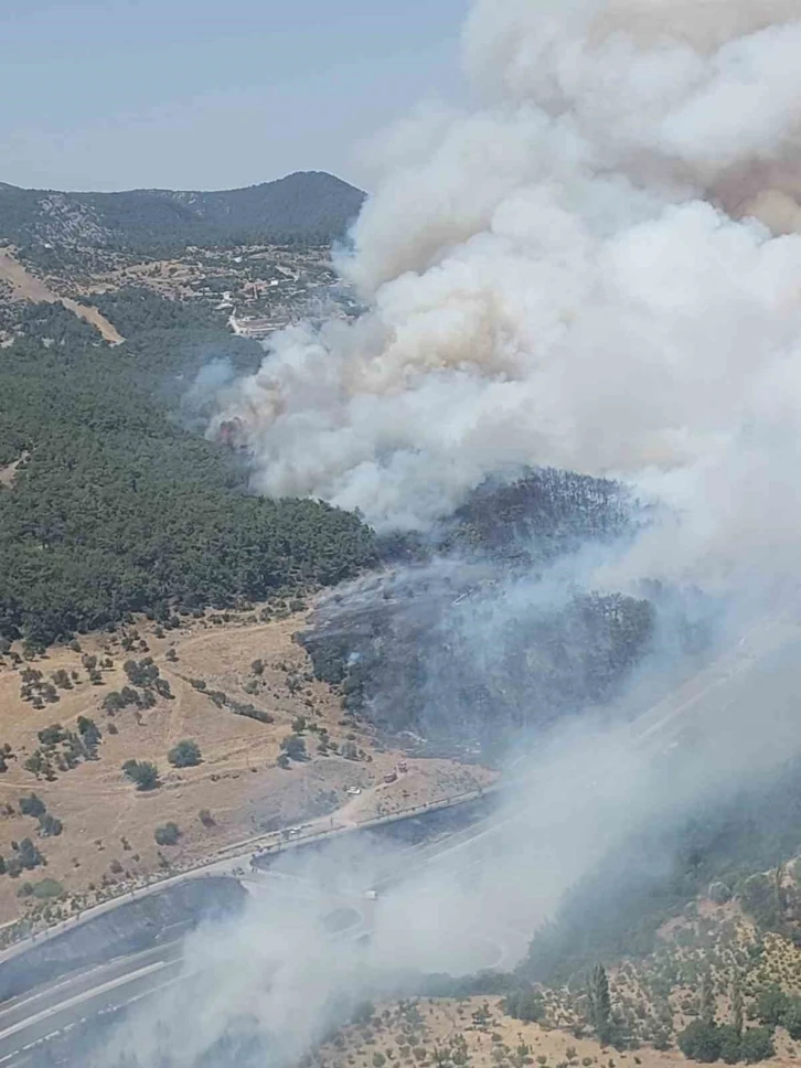 İzmir’de orman yangını: Sabuncubeli Tünelleri trafiğe kapandı

