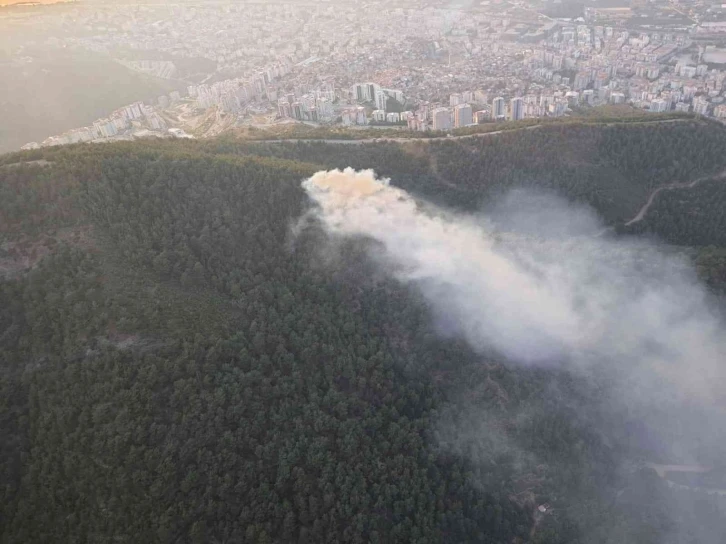 İzmir’de ormanlık alanda çıkan yangın söndürüldü
