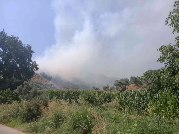 İzmir’de ormanlık alanda yangın
