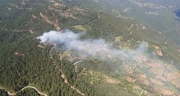 İzmir’de ormanlık alanda yangın
