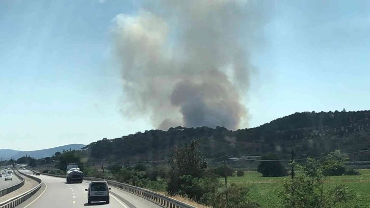 İzmir’de otluk alanda yangın
