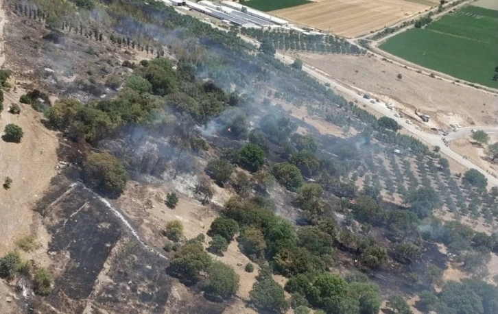 İzmir’de ziraat arazisindeki yangına havadan ve karadan müdahale
