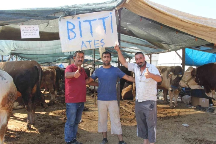 İzmir’deki kurban pazarlarında hayvanların büyük çoğunluğu satıldı
