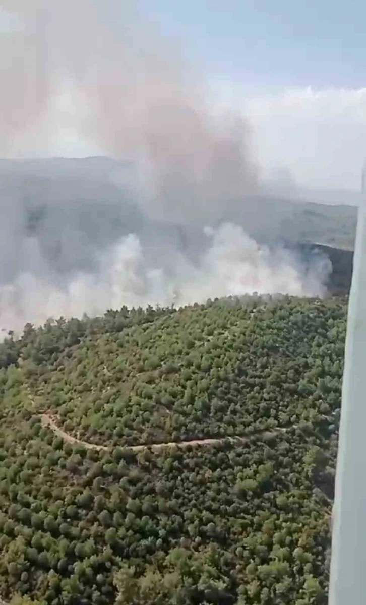 İzmir’deki orman yangını kontrol altında
