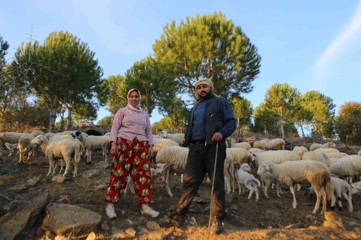 İzmir’in çoban haritası çıkarıldı
