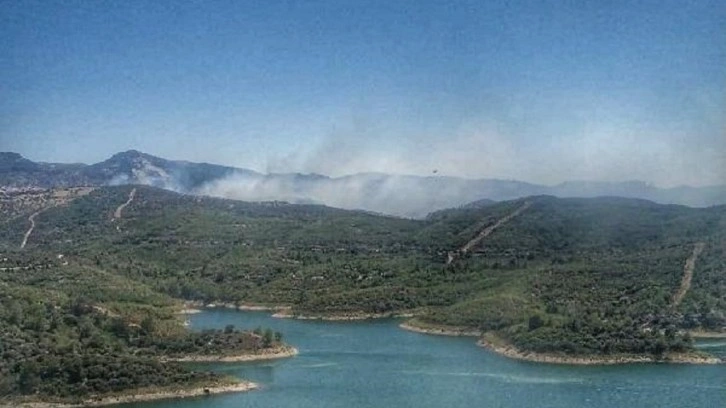 İzmir'de çıkan orman yangınına müdahale ediliyor! Ormanlık alandaki üç araç da yandı