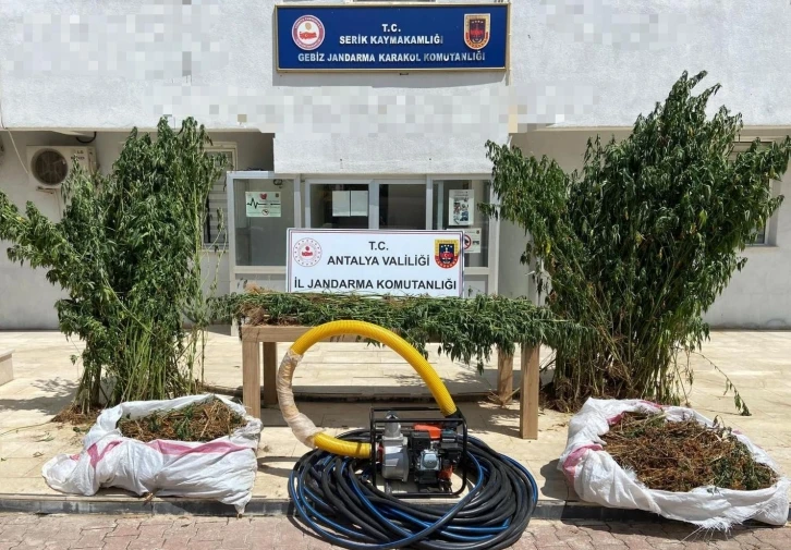 Jandarma 16 kilogram esrar ele geçirdi
