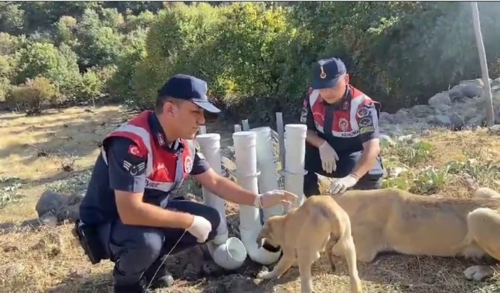 Jandarma, borulardan su ve yem kabı yapıp doğaya bıraktı
