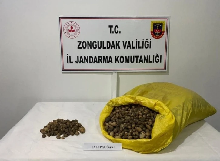 Jandarma ekipleri 40 kilo salep soğanına el koydu
