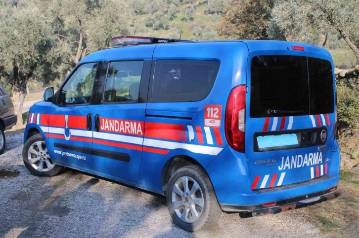 Jandarma incir hırsızlarına göz açtırmıyor
