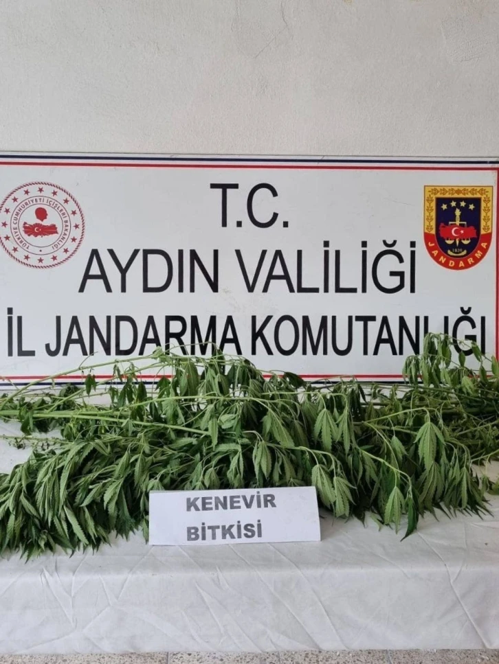 Jandarma uyuşturucuya geçit vermiyor: 5 gözaltı
