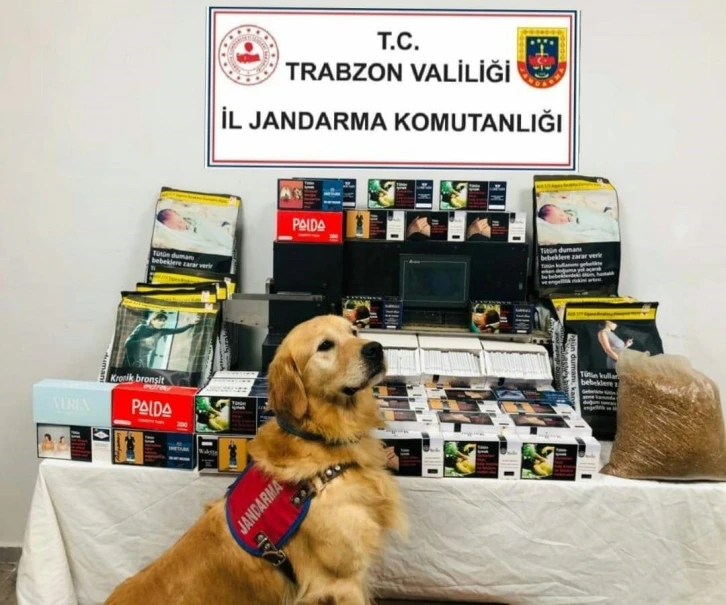 Jandarma ve emniyetten kaçak sigara imalathanesine baskın
