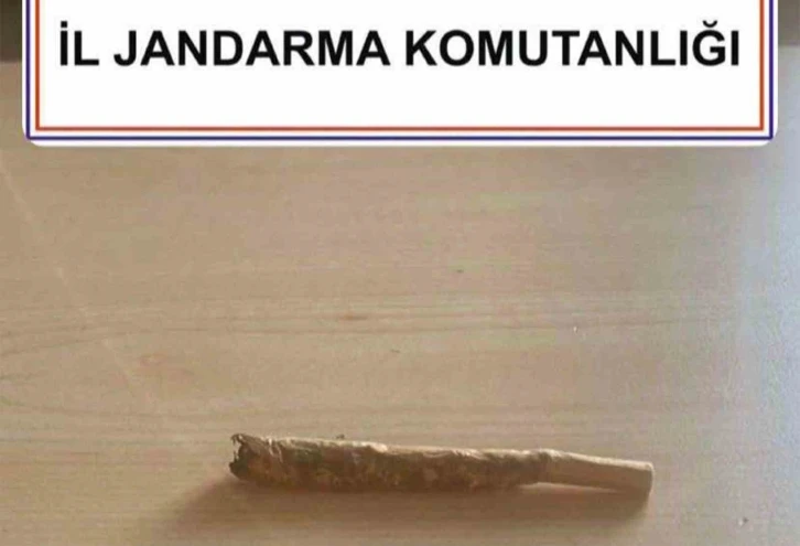 Jandarmadan 5 ilçede uyuşturucu operasyonu
