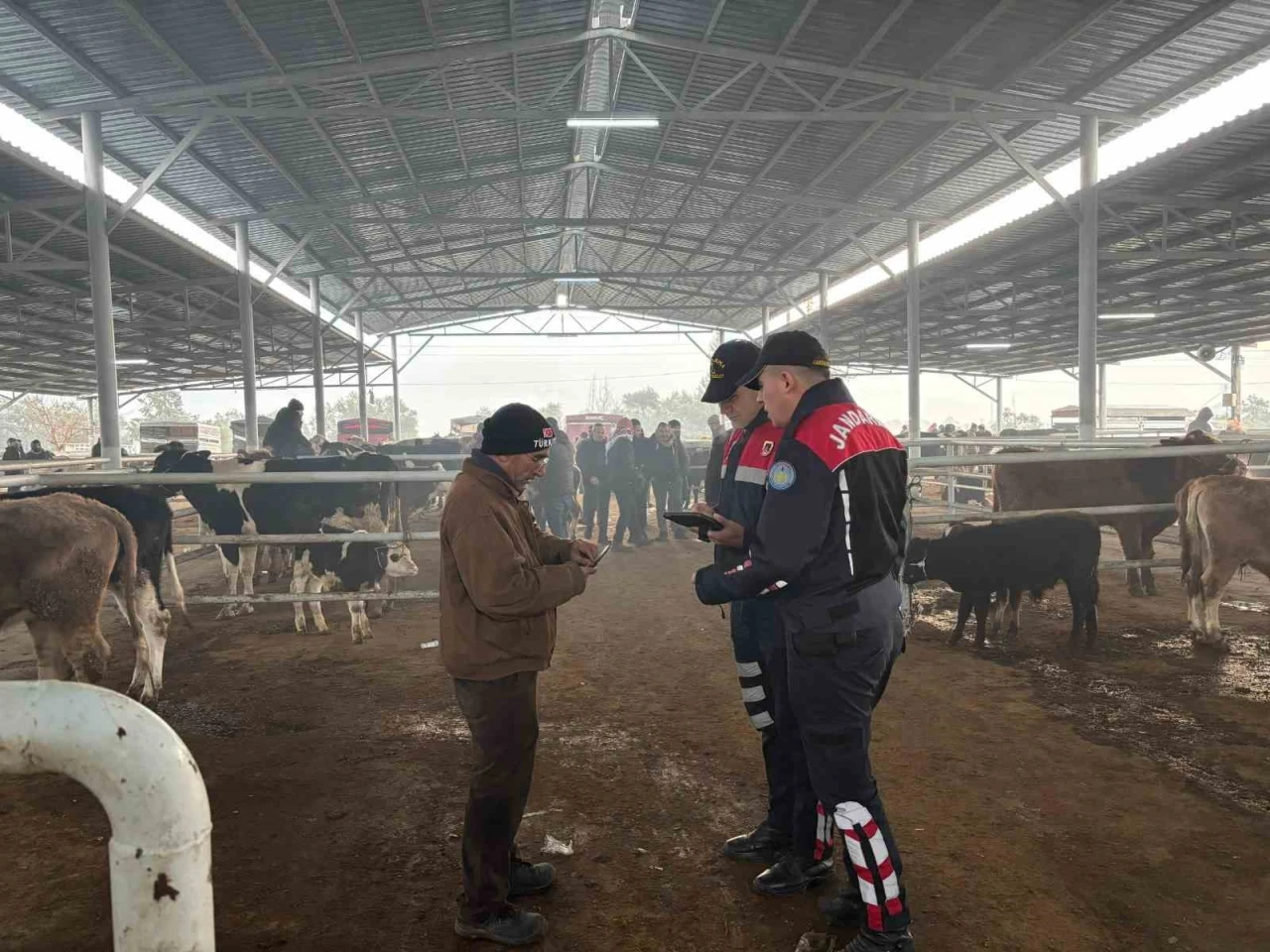 Jandarmadan, hayvan pazarında ’dolandırıcı’ denetimi
