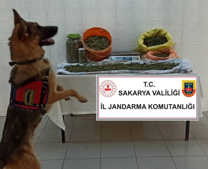 Jandarmadan iki ilçede uyuşturucu operasyonu: 4 gözaltı
