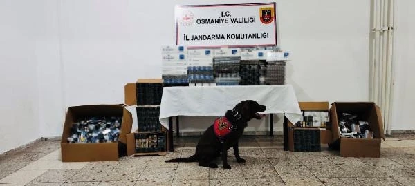 Jandarmadan kaçak sigara operasyonu: 1 gözaltı