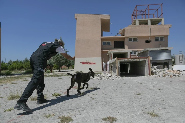 K9 eğitmenleri Mersin’de ortak çalışma yaptı
