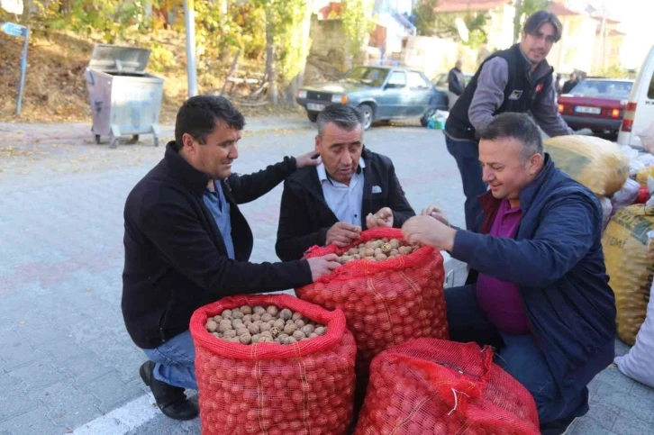 Kabuğuna sığmayan lezzete yoğun talep
