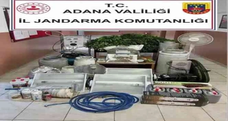 Kaçak elektrikle uyuşturucu yetiştiren 2 kişi gözaltına alındı