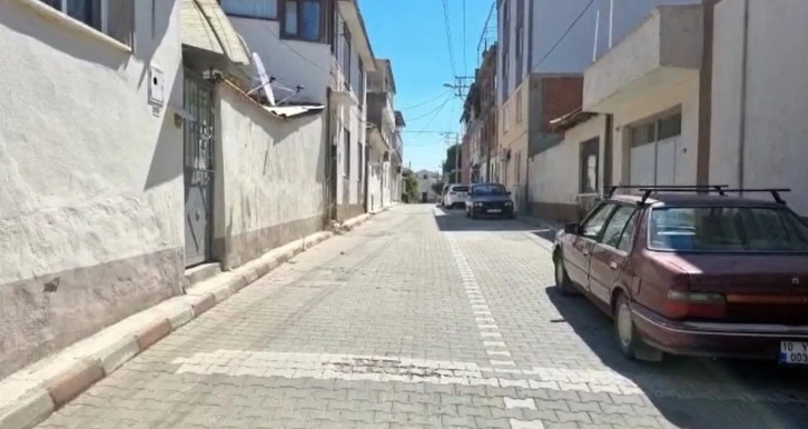 Kadıköy’de bir sokağı pire ve keneler sardı
