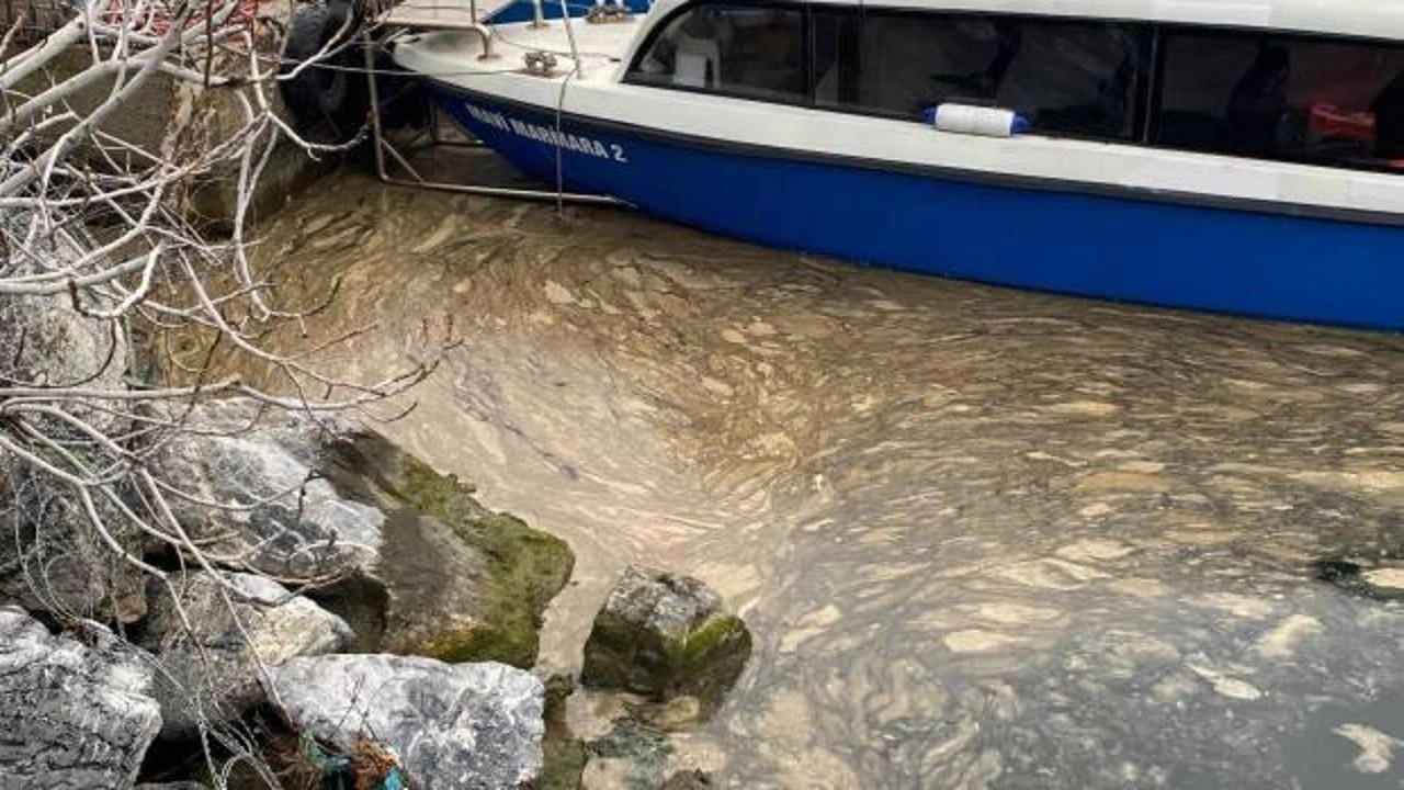 Kadıköy’de deniz yüzeyinde alarm veren görüntü: Beyaz tabaka yayılıyor