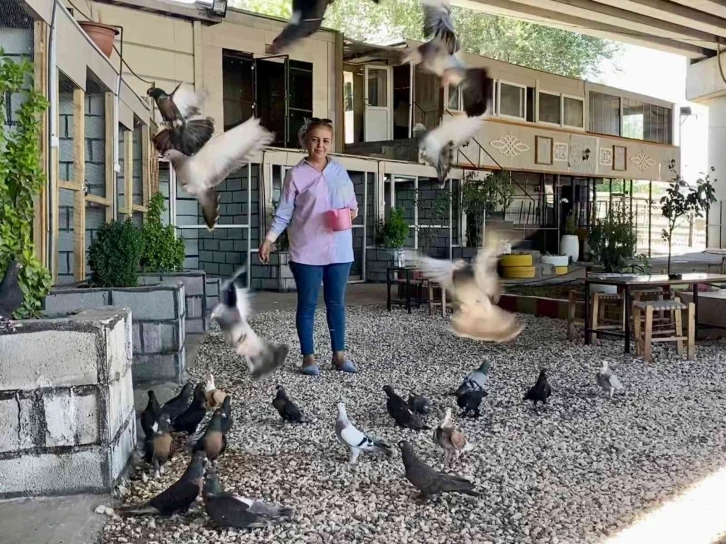 ‘Kadından kuşçu’ olmaz görüşünü yıkarak Türkiye’nin ‘kuşçu ablası’ oldu
