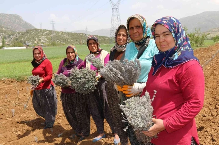 Kadınlar dikiyor, Anadolu lavanta kokuyor
