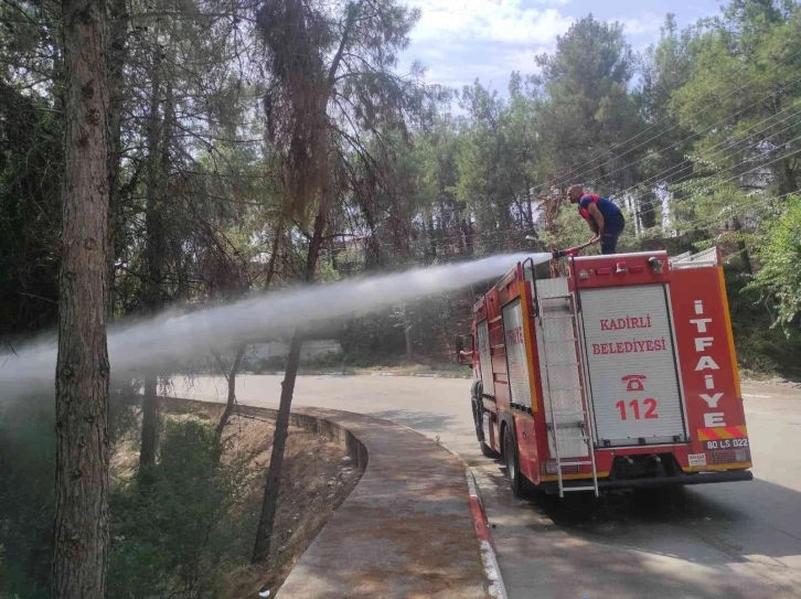 Kadirli’de çamlık alanda çıkan yangın büyümeden söndürüldü
