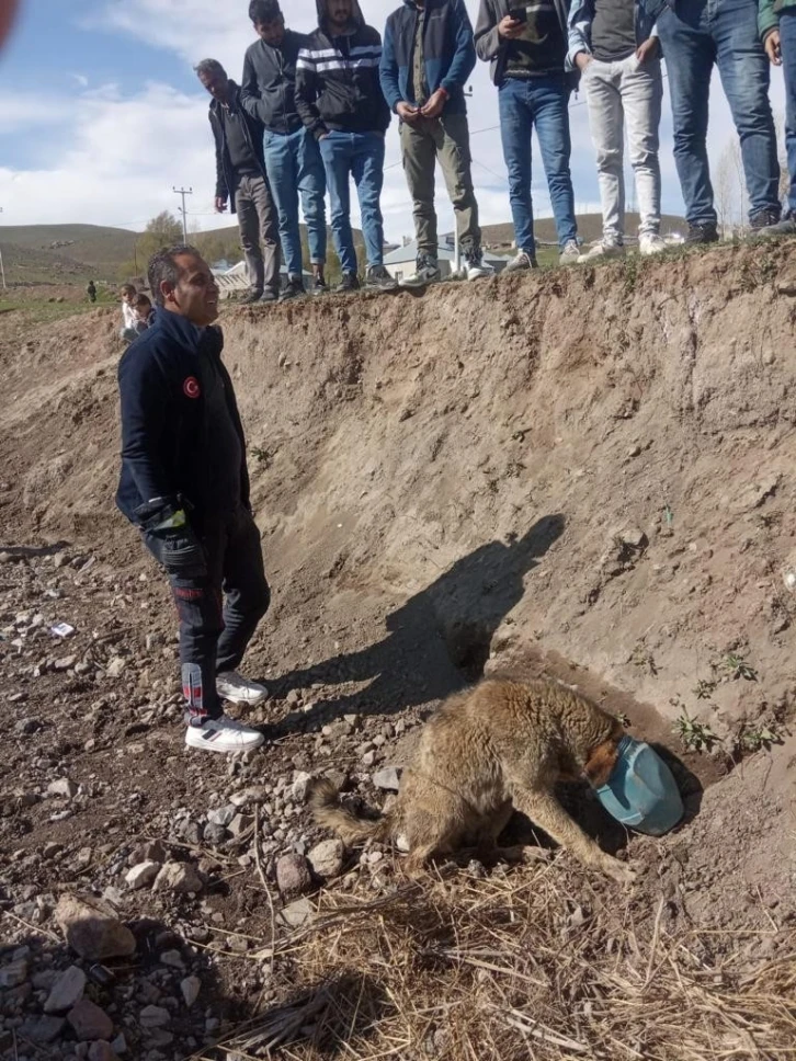 Kafası bidona sıkışan köpek kurtarıldı
