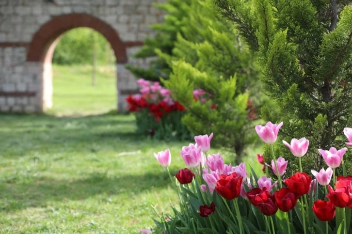 Kağıthane’de lale mevsimi başladı
