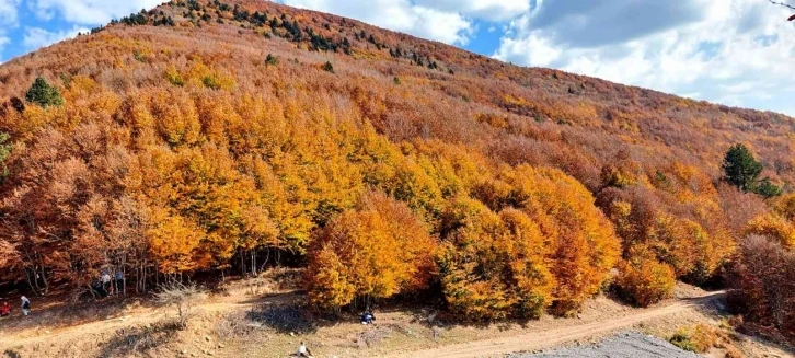 Kahramanmaraş sonbaharda renk cümbüşüne döndü
