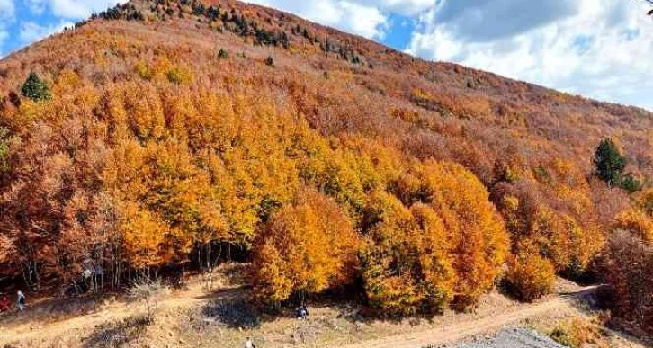 Kahramanmaraş sonbaharda renk cümbüşüne döndü