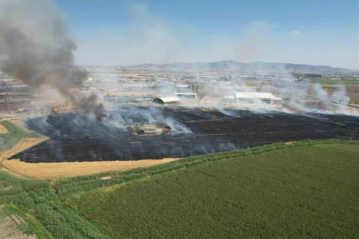 Kahramanmaraş’ta anız yangını korkuttu
