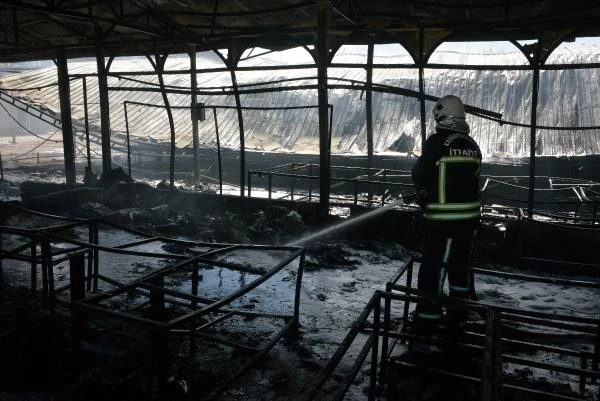 Kahramanmaraş'ta mobilya fabrikasında yangın