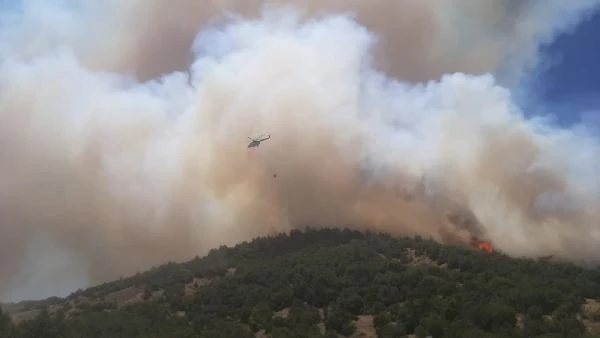 Kahramanmaraş'ta orman yangını 