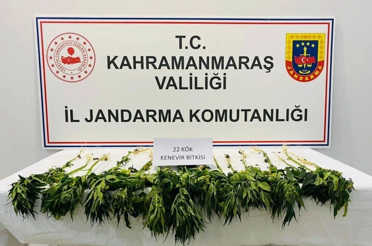 Kahramanmaraş’ta uyuşturucu operasyonu
