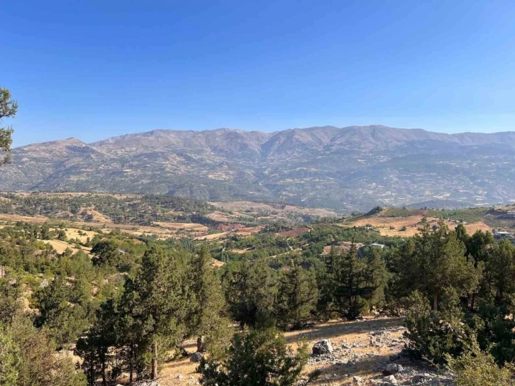 Kahramanmaraş’taki orman yangını söndürüldü
