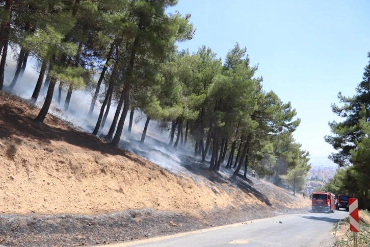 Kahramanmaraş’taki orman yangınında bir kişi gözaltına alındı
