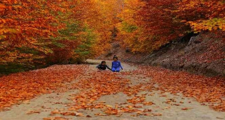 Kahramanmaraş’ta sonbahar renkleri