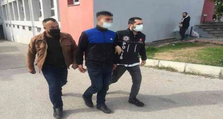 Kahve ve yağ ile korunan skunk narkotik köpeğinden geçemedi