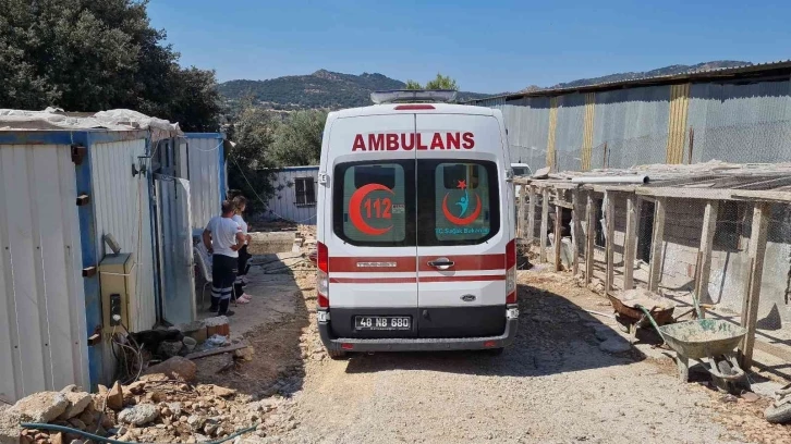 Kalbine bıçak saplanmış halde ölü bulundu
